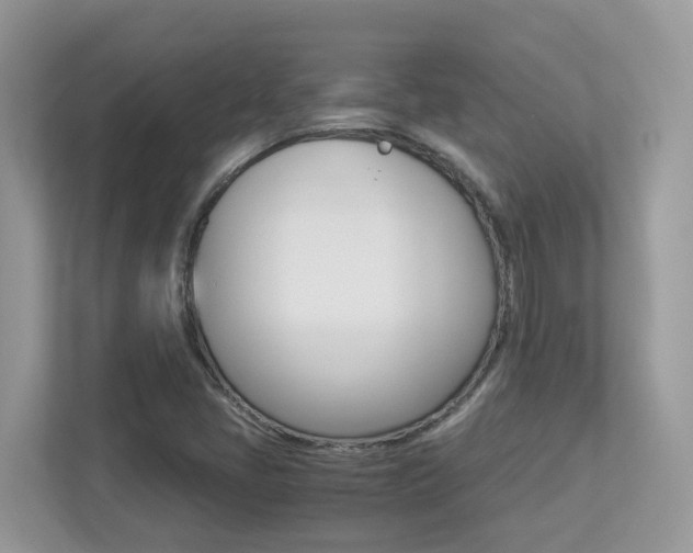 X0000113251405200909100933