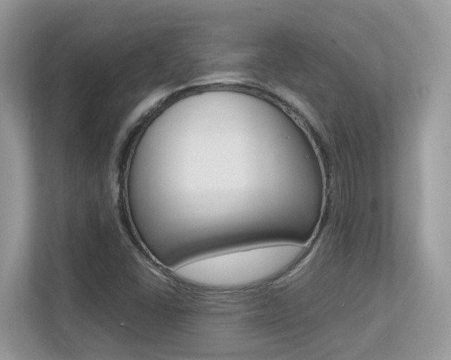 X0000113251406200909100933