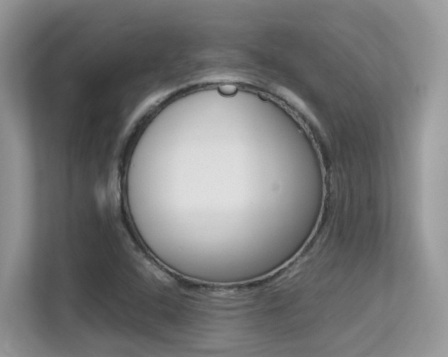 X0000113251408200909100933