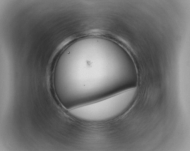 X0000113251410200909100933