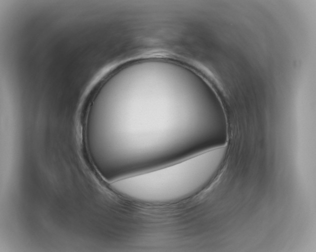 X0000113251414200909100934