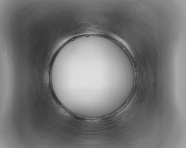 X0000113251415200909100934