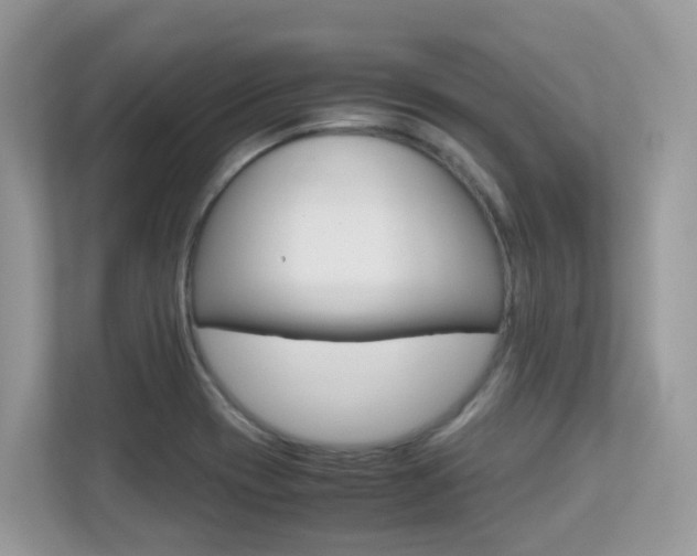 X0000113251417200909100934