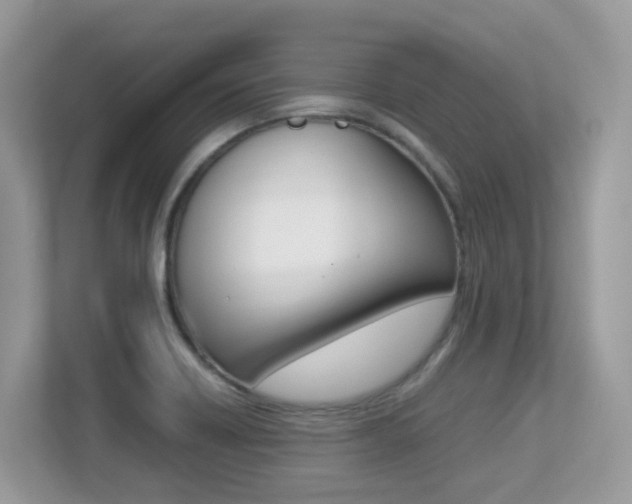X0000113251418200909100934