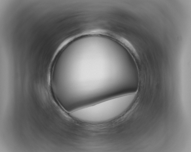 X0000113251420200909100934