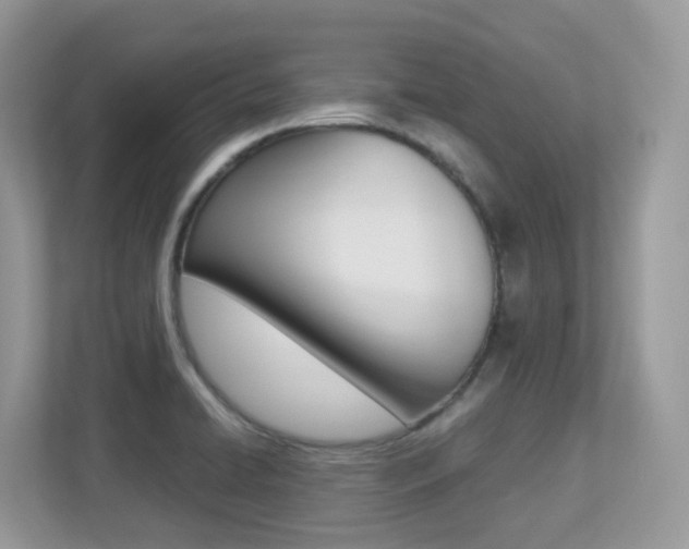 X0000113251422200909100934