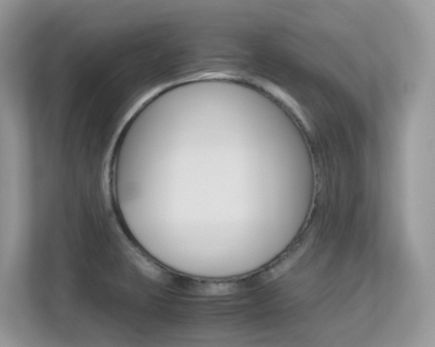 X0000113251423200909100934