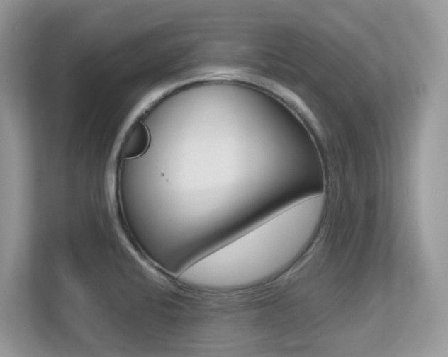 X0000113251424200909100934