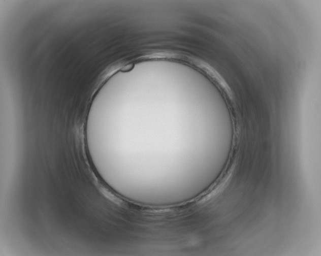 X0000113251425200909100934