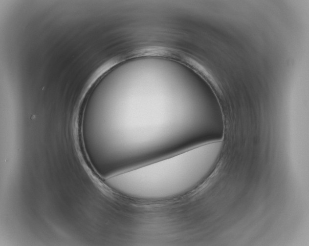 X0000113251426200909100934