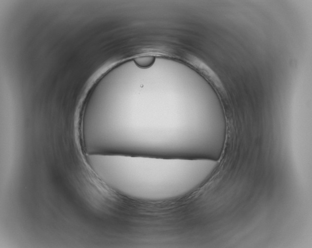 X0000113251427200909100934