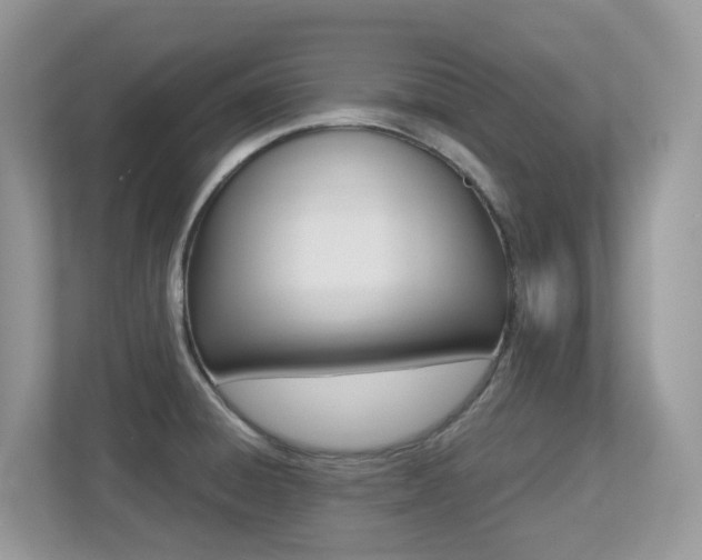 X0000113251428200909100934