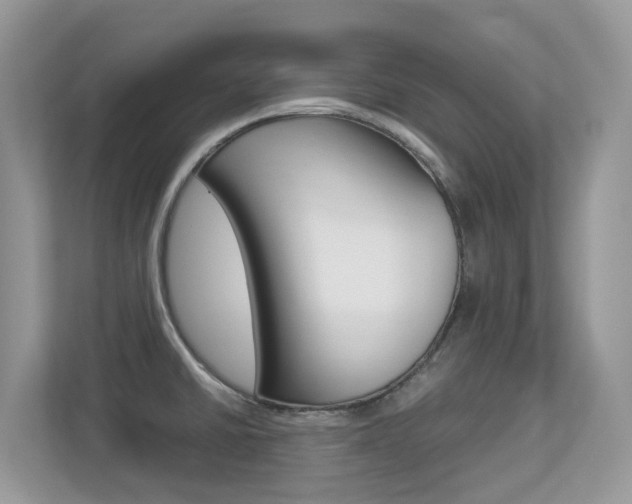X0000113251430200909100934