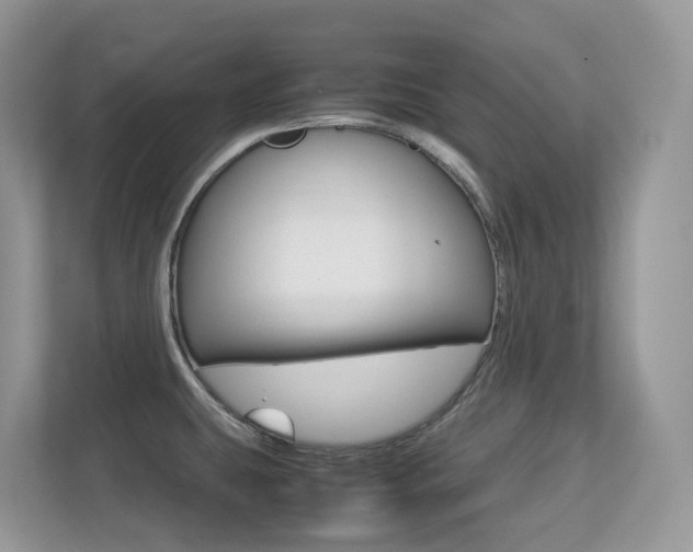 X0000113251431200909100934