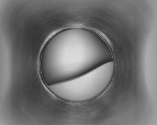 X0000113251432200909100934