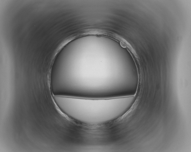 X0000113251433200909100934