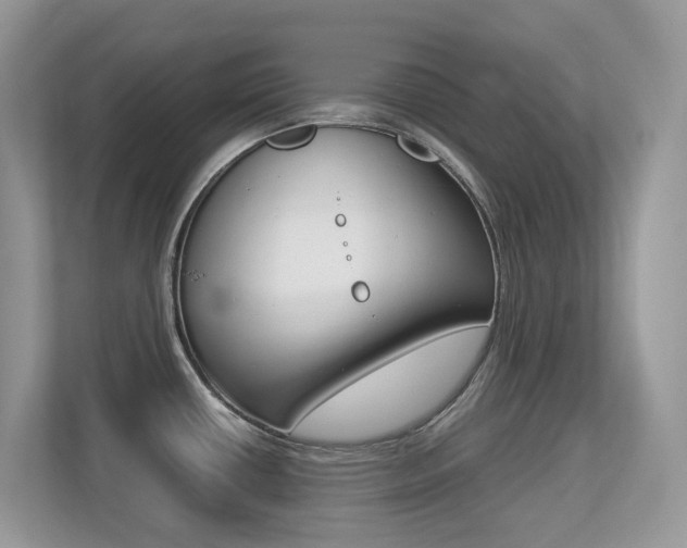 X0000113251434200909100934