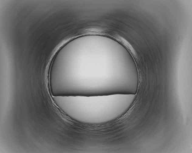 X0000113251435200909100934