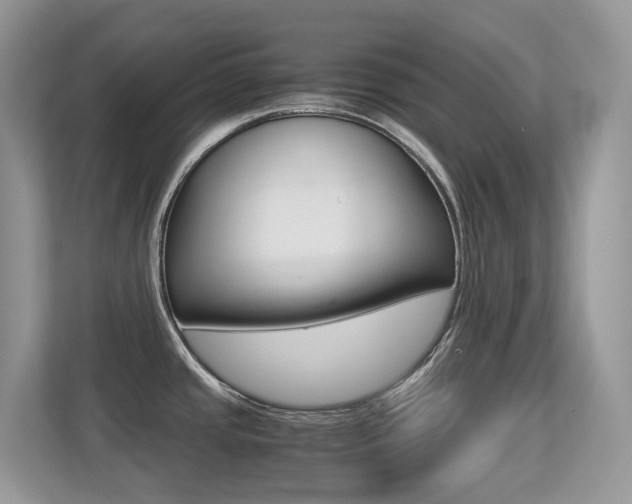 X0000113251437200909100934