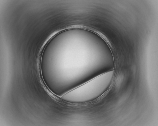 X0000113251438200909100934