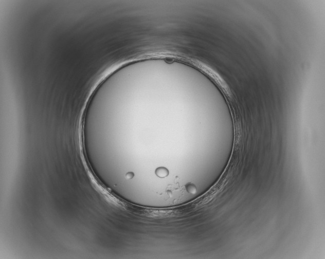 X0000113251439200909100934