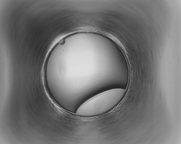 X0000113251440200909100934