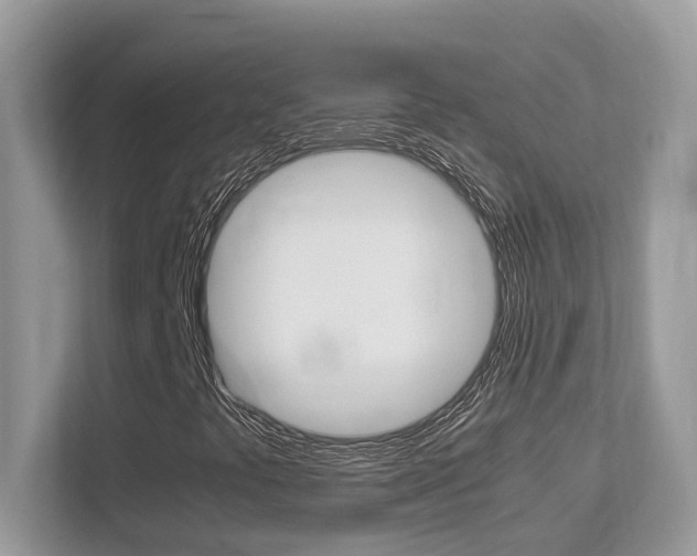 X0000113251441200909100933