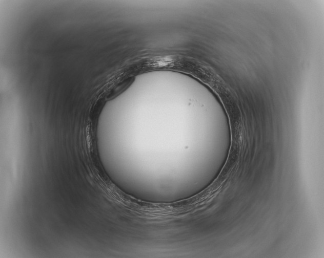X0000113251442200909100933