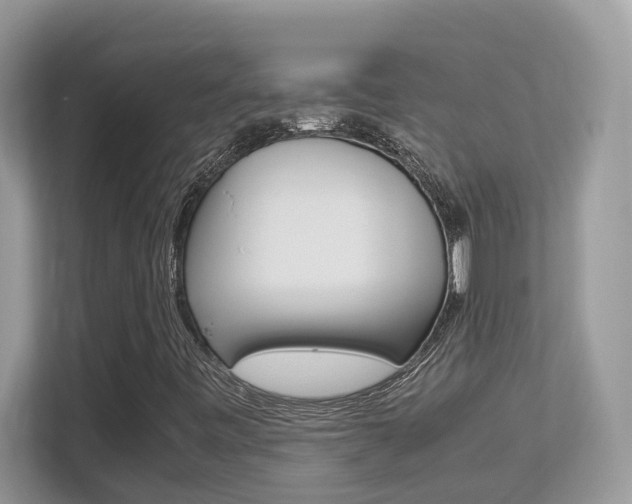 X0000113251443200909100933