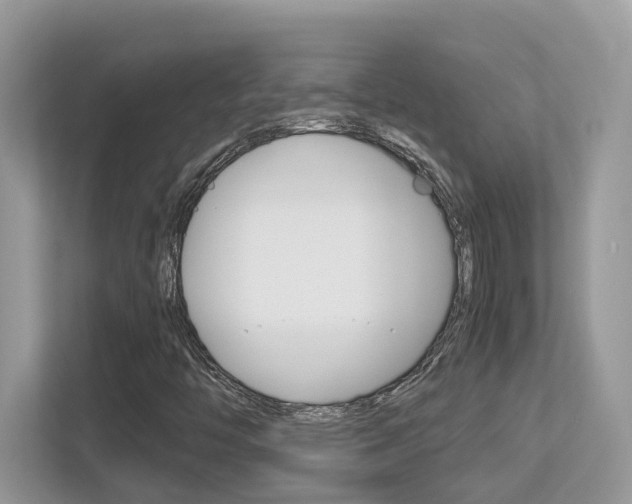 X0000113251446200909100933