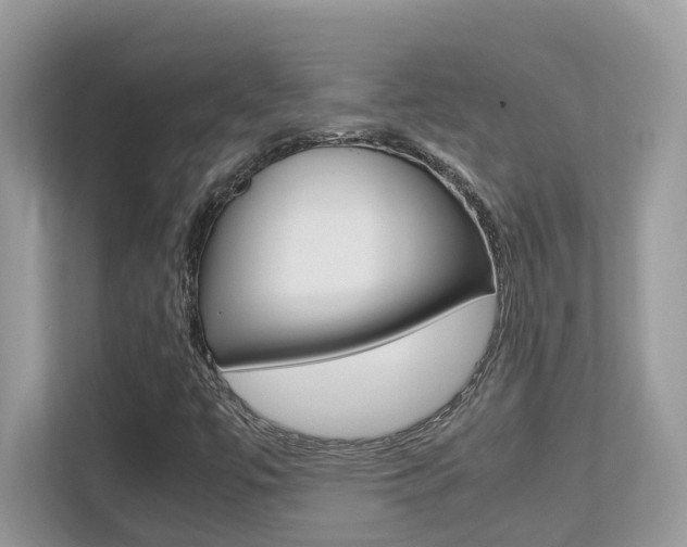 X0000113251447200909100933