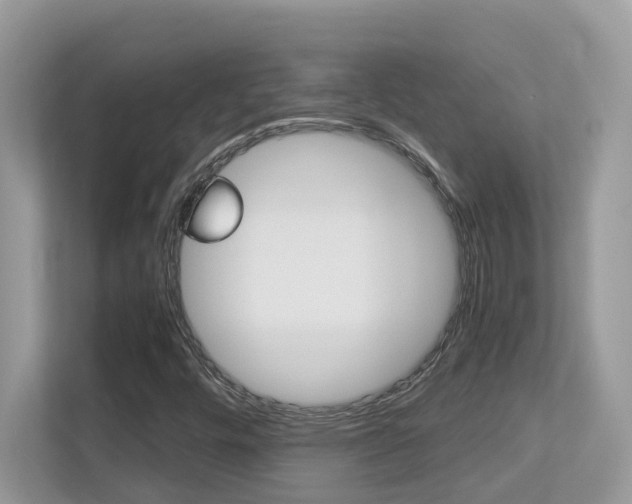 X0000113251448200909100933