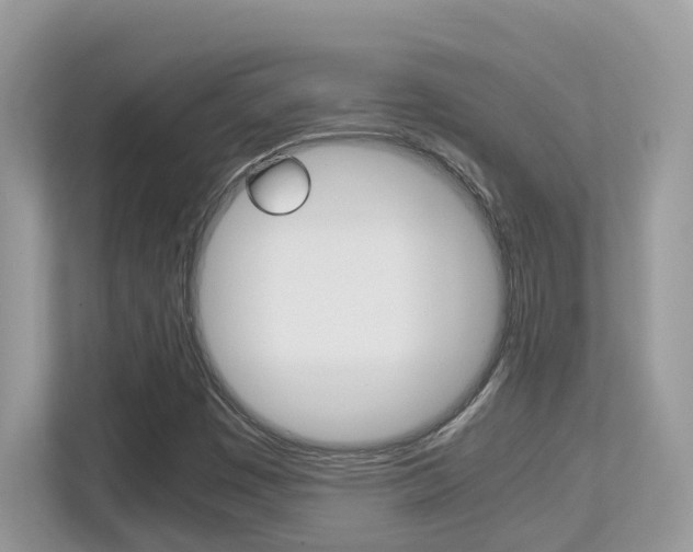 X0000113251449200909100933