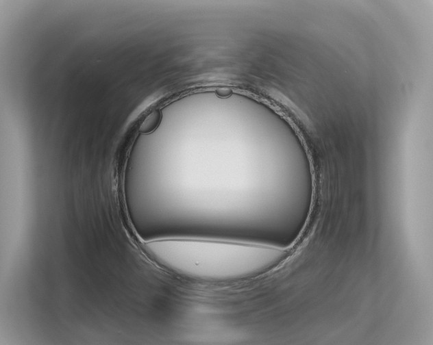 X0000113251450200909100933