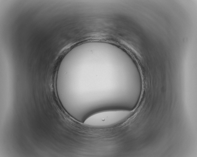 X0000113251451200909100933