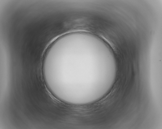 X0000113251452200909100933