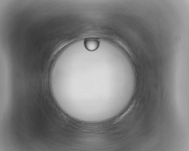 X0000113251453200909100933