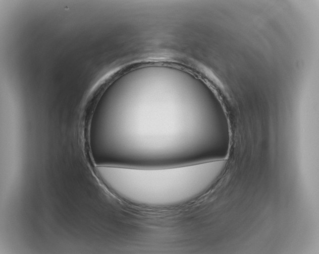 X0000113251456200909100933