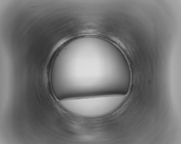X0000113251458200909100933