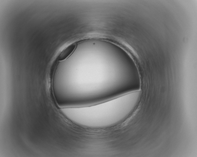 X0000113251461200909100933