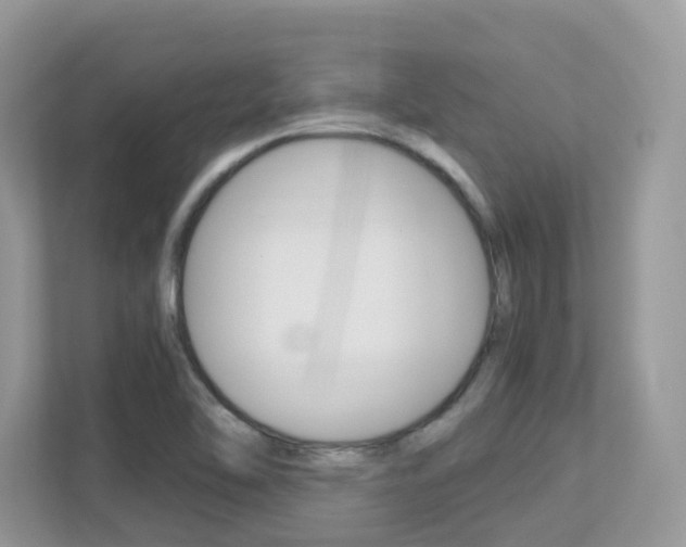 X0000113251462200909100933