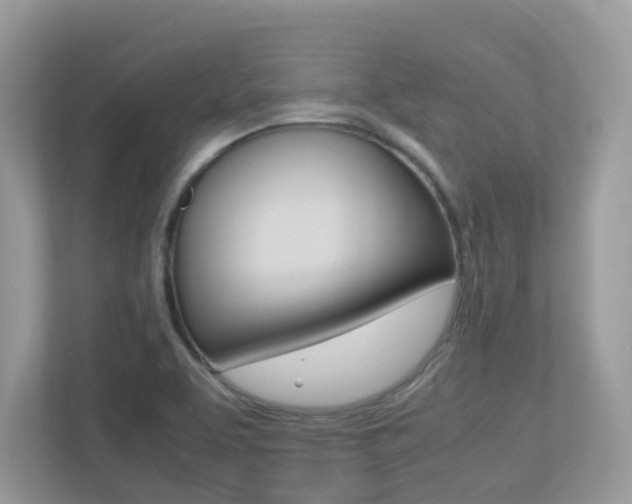 X0000113251463200909100933