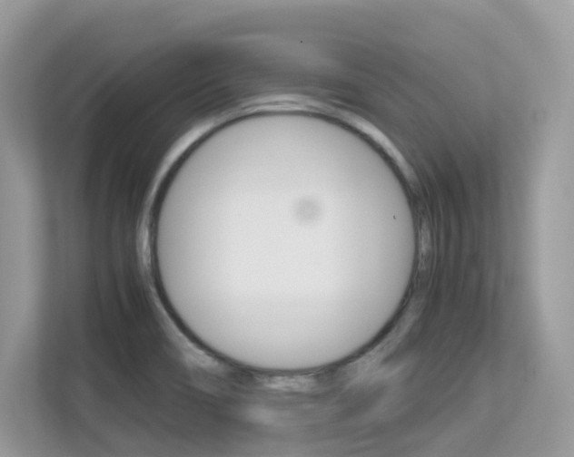 X0000113251466200909100933
