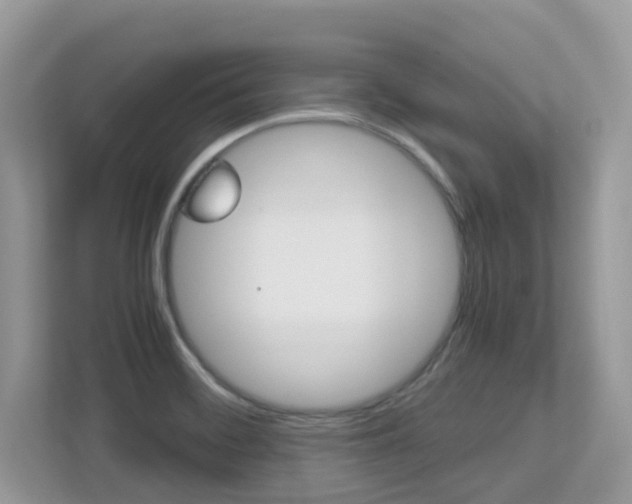 X0000113251468200909100933