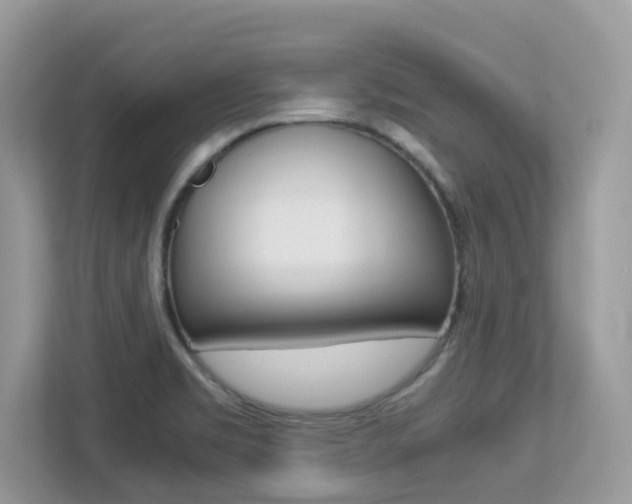 X0000113251469200909100933