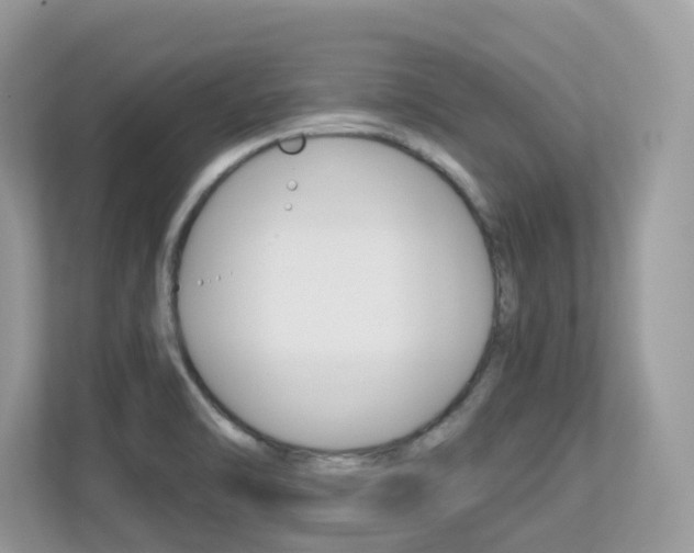 X0000113251470200909100933