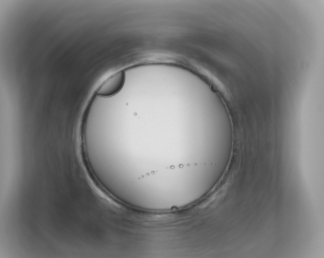 X0000113251471200909100933
