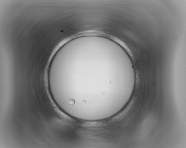X0000113251474200909100933