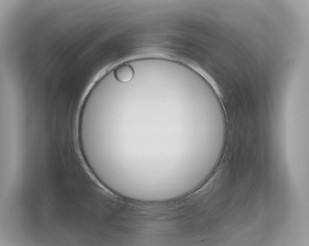 X0000113251477200909100933