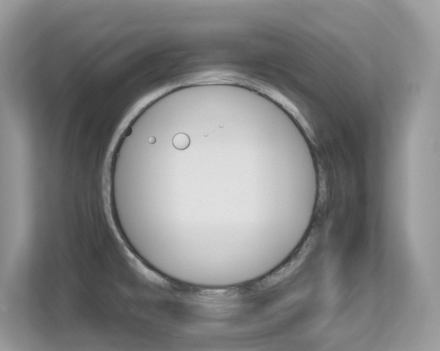 X0000113251478200909100933